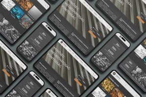 Trimmo weboldal design – Avanscript